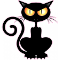 Black Cat